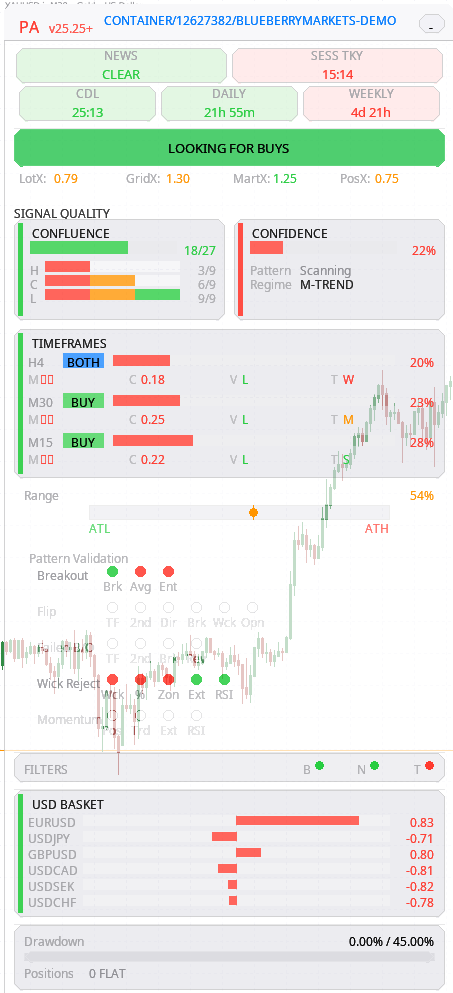 Project Amber EA running in MetaTrader 5 — light mode